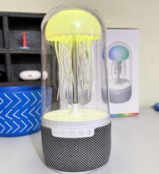 2025_07_08_15_36_IMG_7500