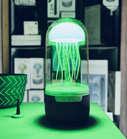 2025_07_08_15_53_IMG_7537