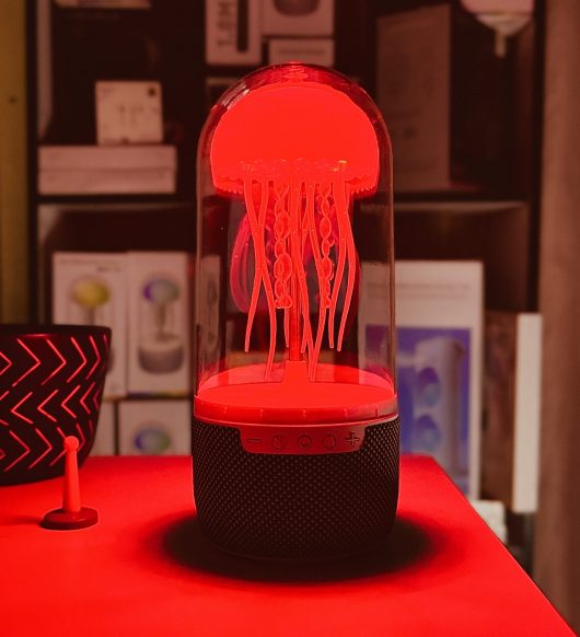 2025_07_08_15_53_IMG_7538